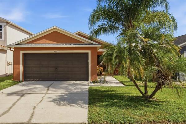 31123 MASENA DR, Wesley Chapel, FL 33545