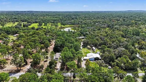 1393 S CANDLENUT AVE, Homosassa, FL 34448