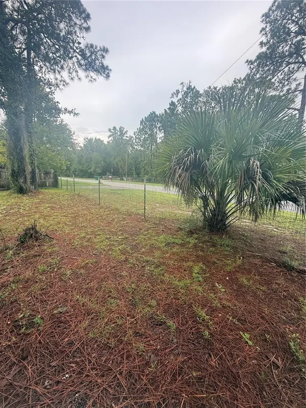 1393 S CANDLENUT AVE, Homosassa, FL 34448