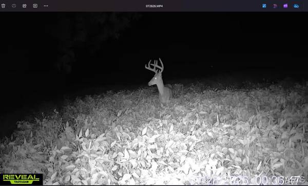 920 S Poplar Camp RD, Makanda, IL 62958