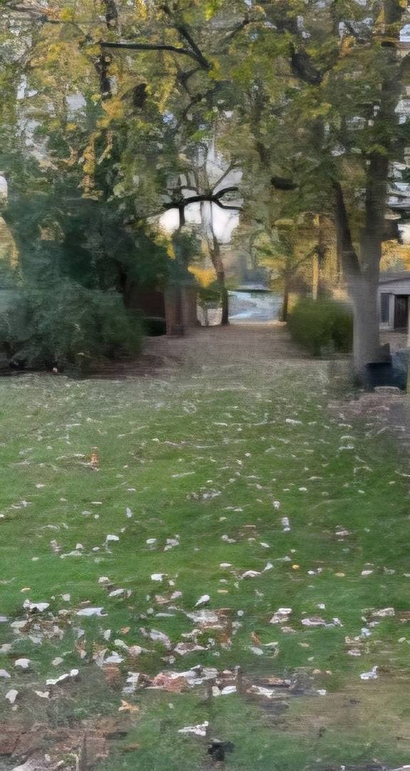 Address not disclosed, Cary, IL 60013