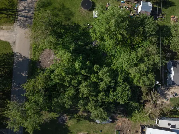 146 N Robert DR, Braceville, IL 60407
