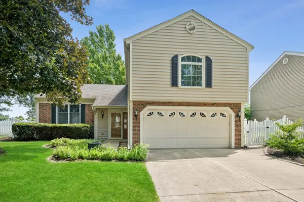 807 S Sheridan DR, Bartlett, IL 60103