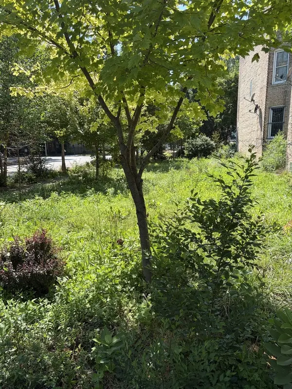1449 S Spaulding AVE, Chicago, IL 60623