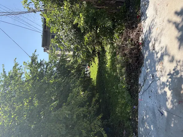 1623 S Central Park AVE, Chicago, IL 60623