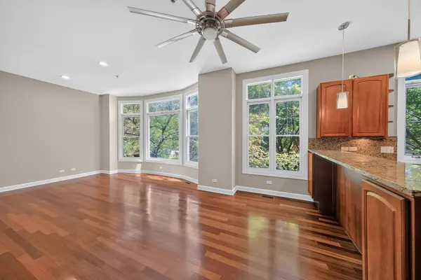 157 Festival CT, Elgin, IL 60120