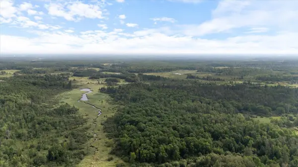 9401 Samuelson RD, Angora, MN 55703