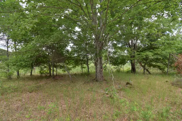 25385 Spaulding RD, Grantsburg, WI 54840