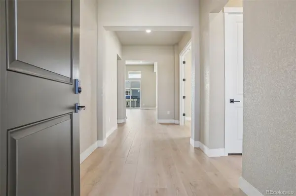 631 White Dove CT, Monument, CO 80132