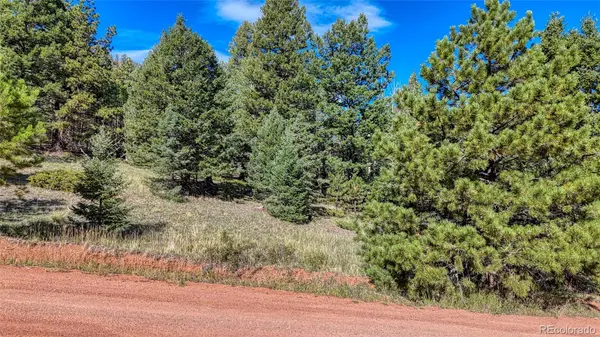 1232 Monarch DR, Cripple Creek, CO 80813