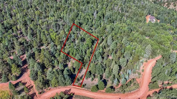 1232 Monarch DR, Cripple Creek, CO 80813