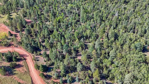 1232 Monarch DR, Cripple Creek, CO 80813