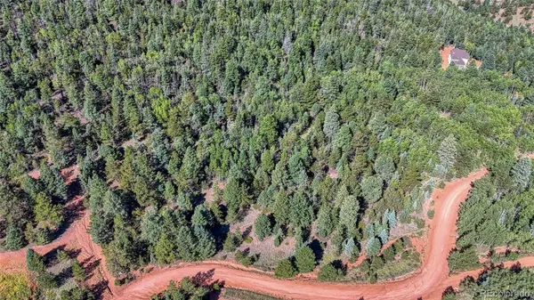 1232 Monarch DR, Cripple Creek, CO 80813