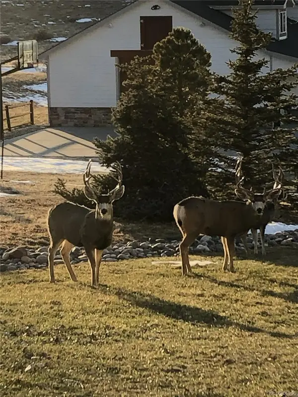 2385 Antelope Ridge TRL, Parker, CO 80138