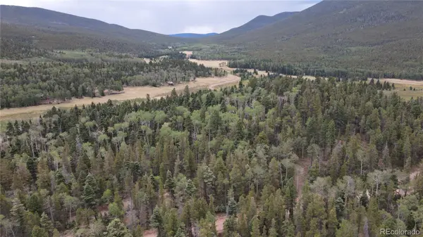 2874 Fery Loop, Fort Garland, CO 81133