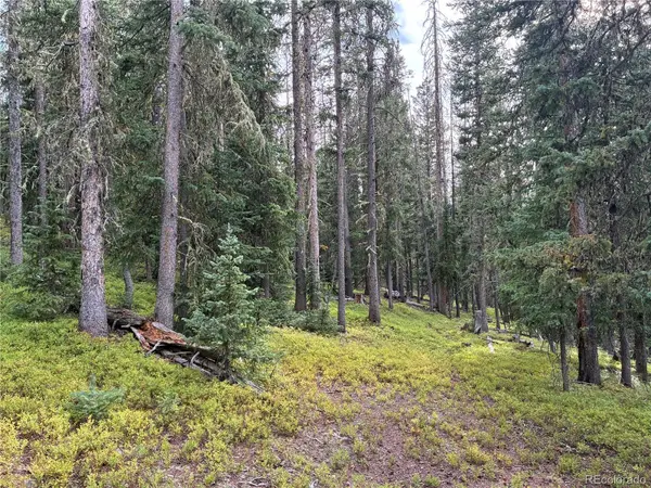 LOT 6524 Forbes RD, San Luis, CO 81152