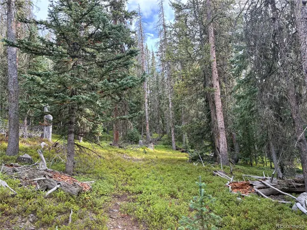 LOT 6524 Forbes RD, San Luis, CO 81152