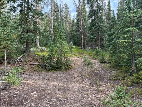 LOT 6524 Forbes RD, San Luis, CO 81152