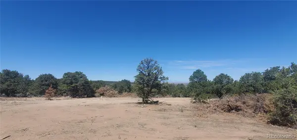 Lot 1321 Michaels RD, San Luis, CO 81152