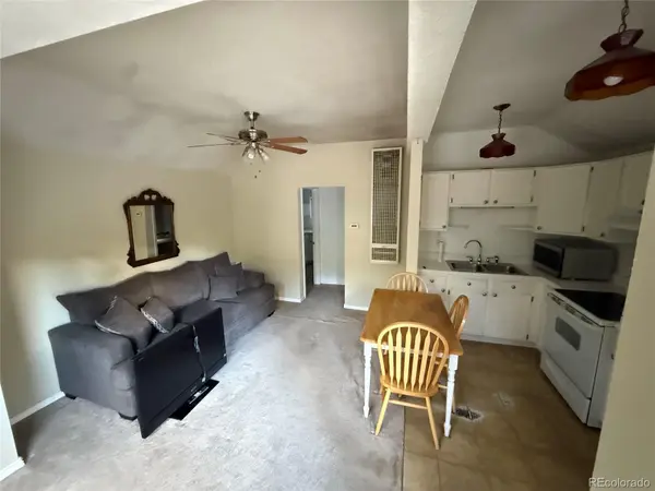 2016 Riverside DR, Idaho Springs, CO 80452