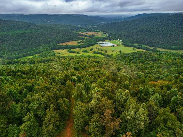 0 Bear Knob Ln, Crawford, TN 38554