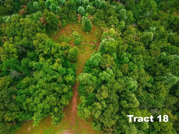 0 Bear Knob Ln, Crawford, TN 38554