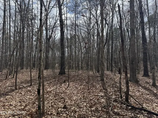 1261 Roanoke Rd, Jamestown, TN 38556