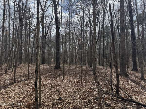 1261 Roanoke Rd, Jamestown, TN 38556