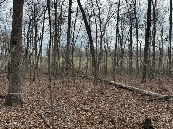 1261 Roanoke Rd, Jamestown, TN 38556
