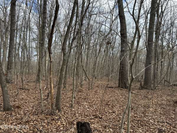 1261 Roanoke Rd, Jamestown, TN 38556