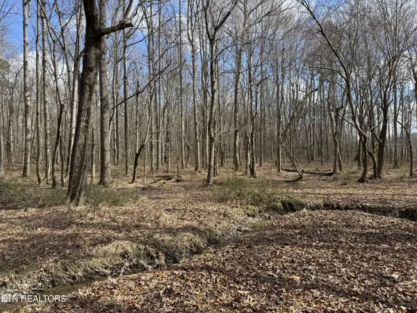 1261 Roanoke Rd, Jamestown, TN 38556