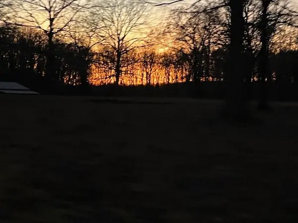 1386 Chisholm Rd, Cypress Inn, TN 38452