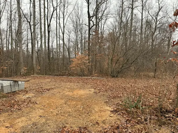 0 Periwinkle Path, Leoma, TN 38468