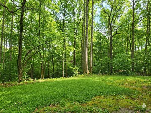 0 Periwinkle Path, Leoma, TN 38468