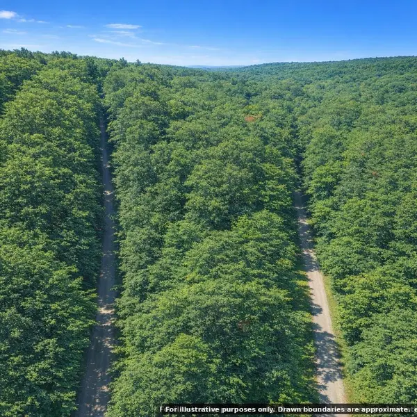 0 Bear Road, Tallassee, TN 37878