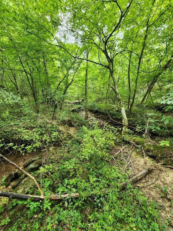2754 Scribners Mill Rd, Culleoka, TN 38451