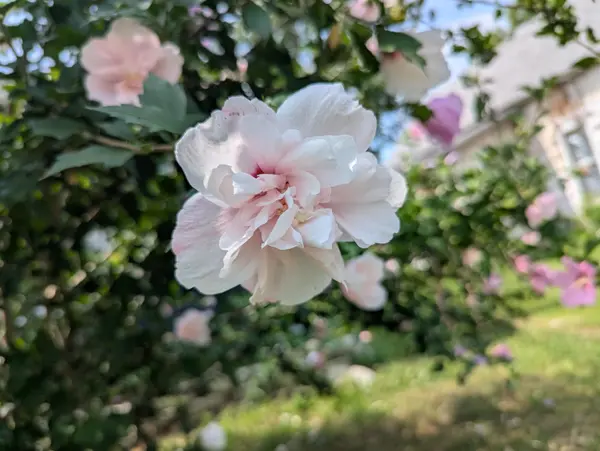 18 W Delta ST, Aurora, MO 65605