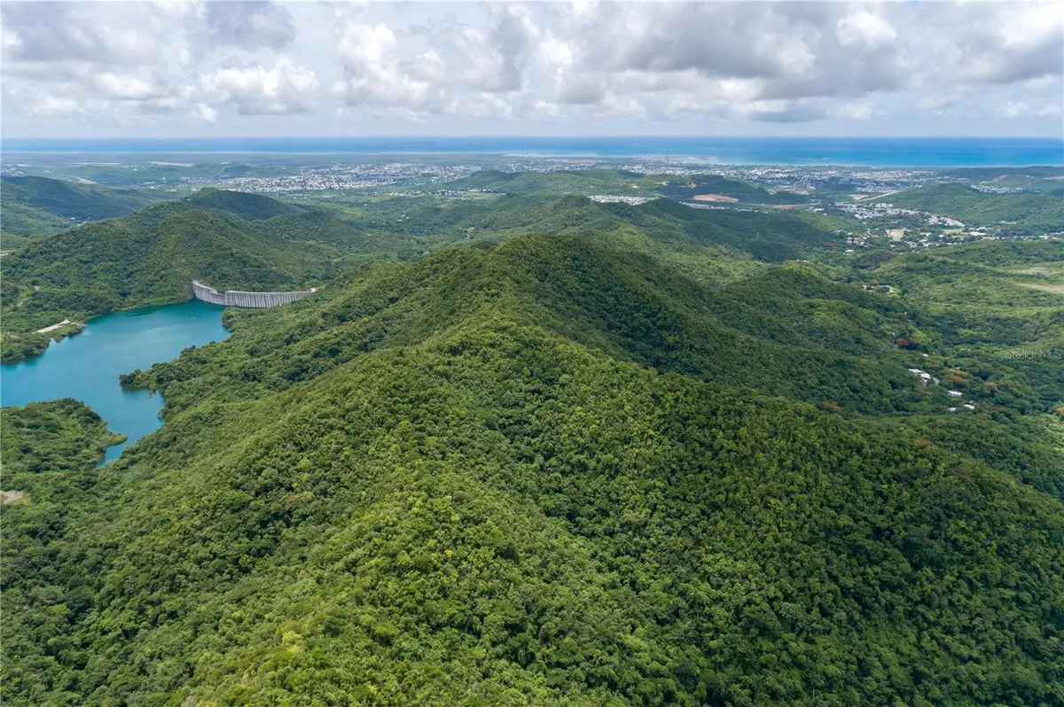 CARR 503, Ponce, PR 00715
