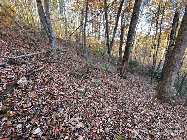Lot 66 Musket DR, Almond, NC 28702