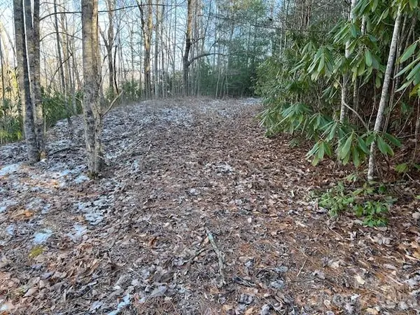 621 Round Top RD, Almond, NC 28702