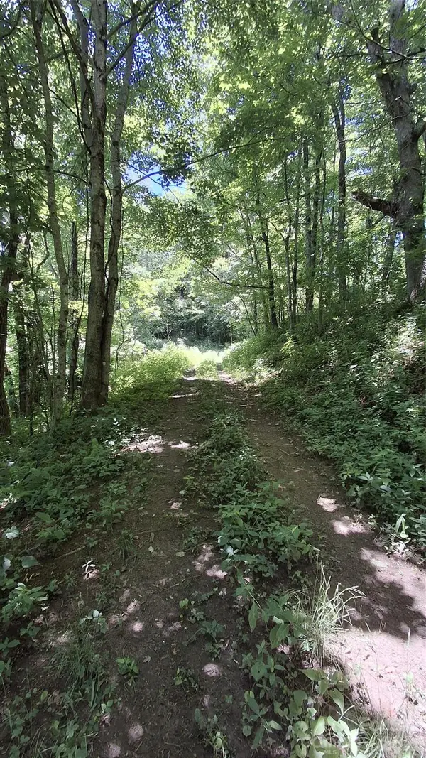 00 Big Ridge RD, Glenville, NC 28736