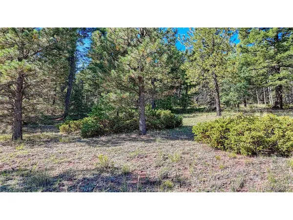 1232 Monarch, Cripple Creek, CO 80813