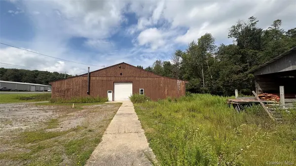 290 Jeffersonville North Branch RD, Jeffersonville, NY 12748