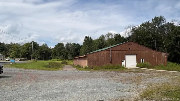 290 Jeffersonville North Branch RD, Jeffersonville, NY 12748