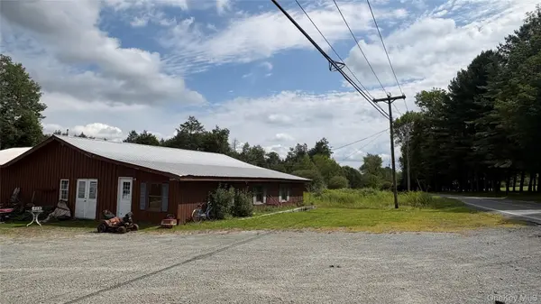 290 Jeffersonville North Branch RD, Jeffersonville, NY 12748