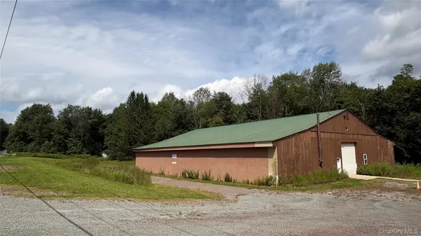 290 Jeffersonville North Branch RD, Jeffersonville, NY 12748