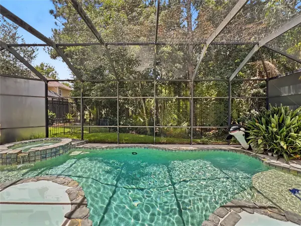 816 RUNNER OAK ST, Celebration, FL 34747