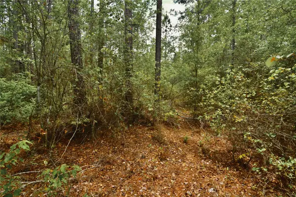 SWEET GUM RD, Glen St Mary, FL 32040