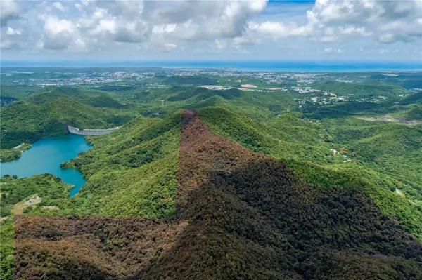 CARR 503, Ponce, PR 00715