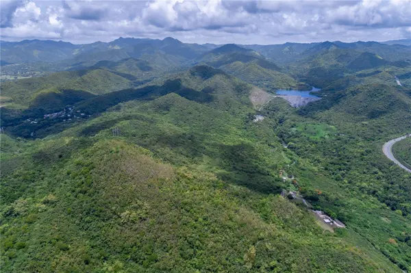 CARR 503, Ponce, PR 00715